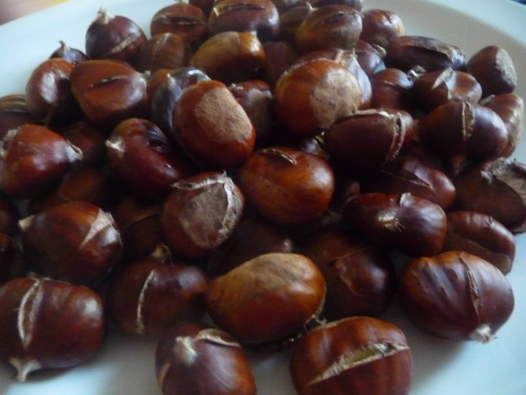 Comment cuire des marrons au four ?