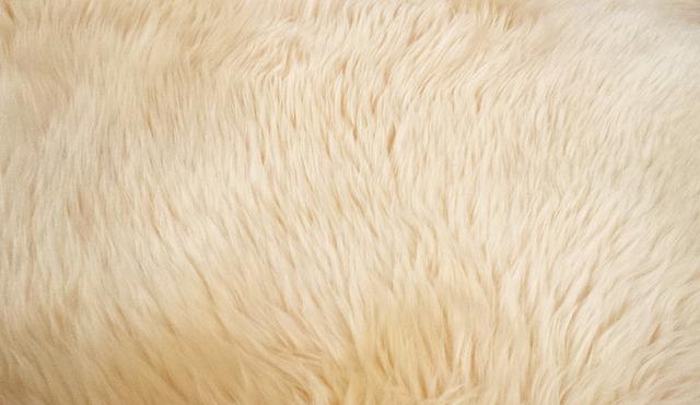 La Chapka russe pour femme : comment rester au chaud cet hiver